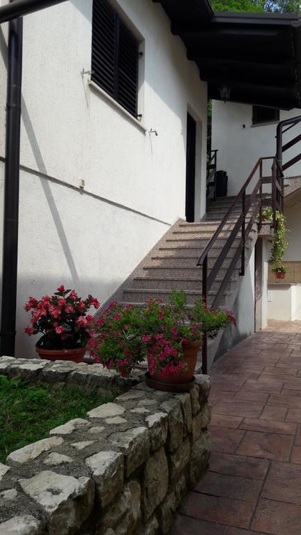 Apartman Koraca Roč Exterior foto